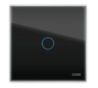 Однолинейная панель стеклянная черная в рамку "Практика" CGSS PL-PN01BCM