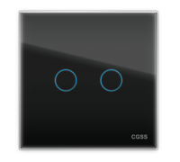 Двухлинейная панель стеклянная черная CGSS WT-P02B