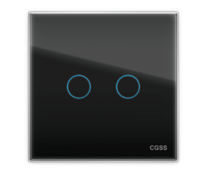 Двухлинейная панель стеклянная черная в рамку "Практика" CGSS PL-PN02BCM