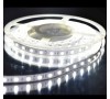 Светодиодная лента Ecola LED  14.4W/m 12V IP20  6000K 