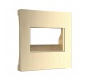 Накладка для двойной розетки Еthernet RJ-45 (шампань рифленый)
